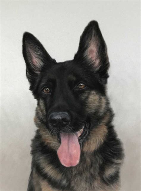 German Shepherd Portrait - Pet artist Lorraine Gray