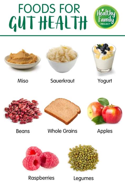 Foods for Gut Health - Food Rx | Healthy Family Project