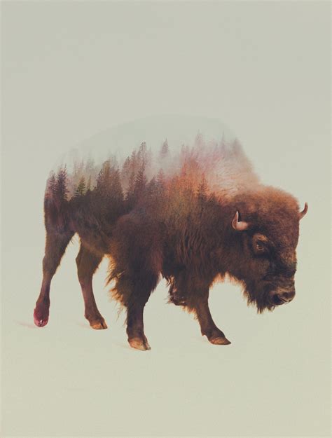 Double Exposure Animal Portraits By Andreas Lie - IGNANT