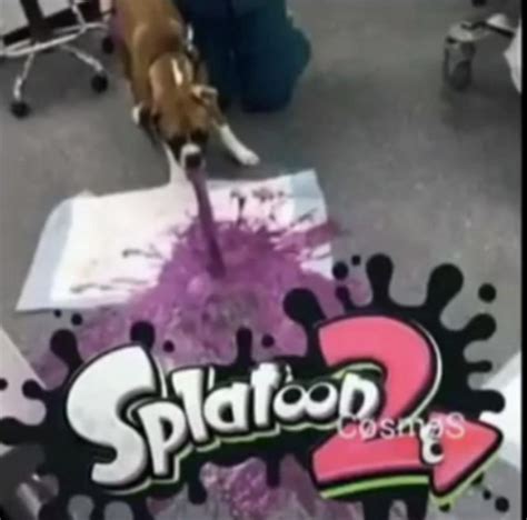 cursed_splatoon : r/Cursed_Images