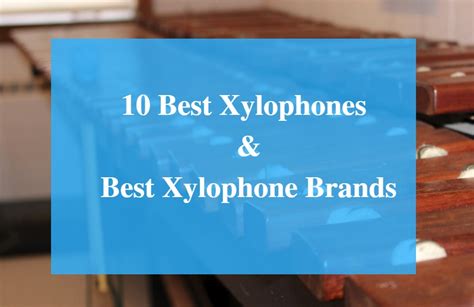 10 Best Xylophone Reviews 2017 – Best Xylophone Brands - CMUSE