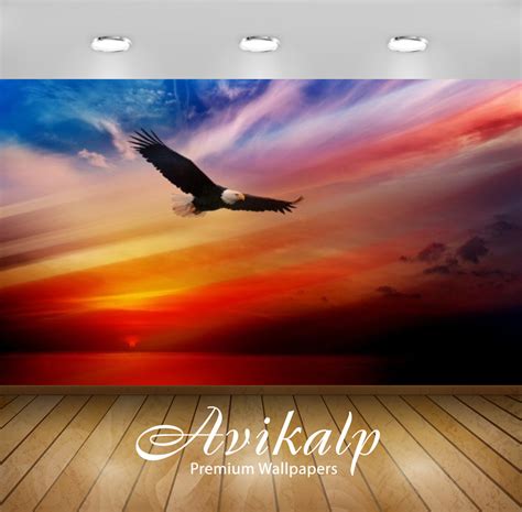 Avikalp Exclusive Awi2408 Bald Eagle Flying At Sunset Red Sky Full HD – Avikalp International ...