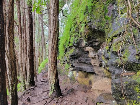 Makiki Valley Loop Trail - a history of the lush valley