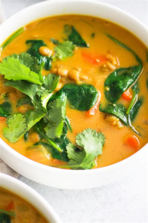 Vegan Turmeric Soup | Recipe in 2020 | Turmeric soup, Raw food recipes ...