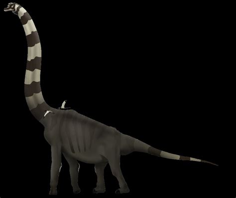 Giraffatitan Pictures & Facts - The Dinosaur Database