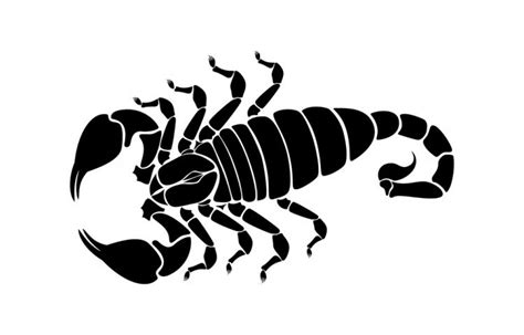 Scorpion silhouette vector Free Vector / 4Vector