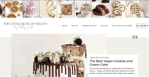 Top Vegan Bloggers for Meal Ideas and Helpful Lifestyle Tips