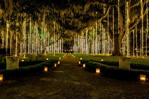 Brookgreen Gardens Night Of A Thousand Candles | Fasci Garden