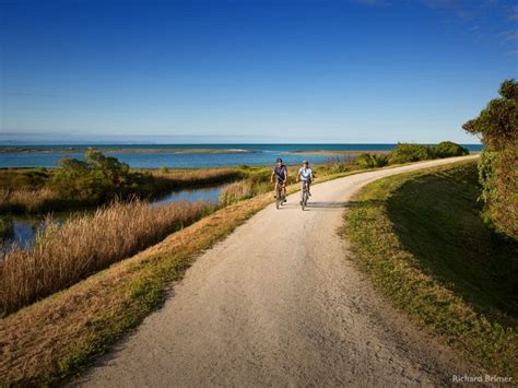 Hawkes Bay Cycling Trails NZ Highlights & Map