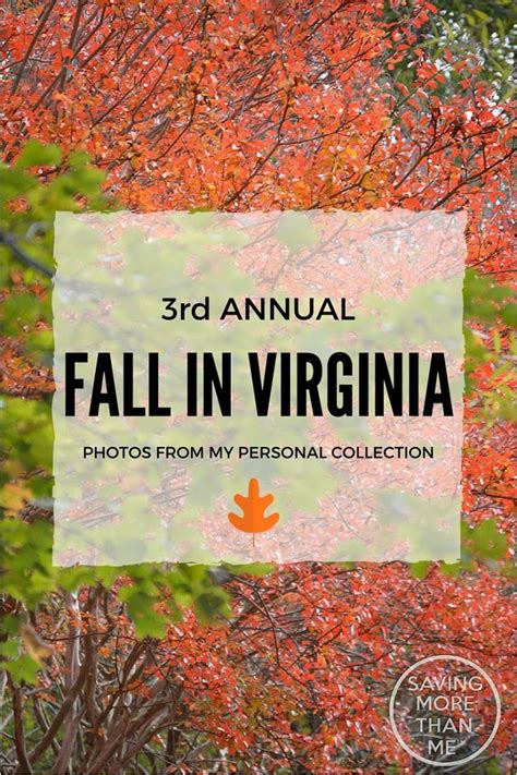 Third Annual Fall In Virginia Photos » winterandsparrow.com