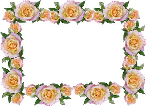 Free Transparent Rose Border, Download Free Transparent Rose Border png ...