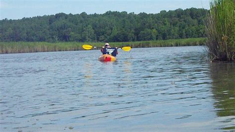 Rappahannock River Kayaking! | USFWS volunteer, Aaron McGeor… | Flickr