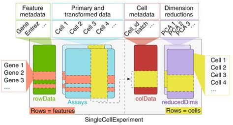 2. QC and Exploratory Analysis - Analysis of single cell RNA-seq data