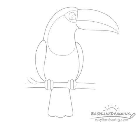 How to Draw a Toucan Step by Step - EasyLineDrawing