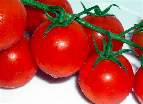 The 10 Best Cherry Tomato Varieties for Container Gardens - Garden and Happy