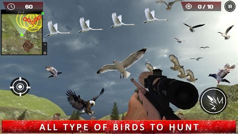 Flying Bird Hunting Games for Android - Download