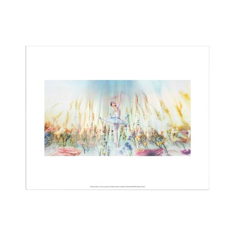 Cinderella 2023 Print - Royal Opera House Shop