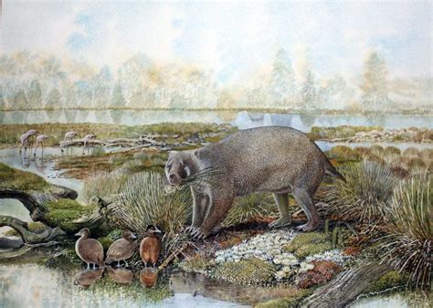 New Family of Extinct Giant Wombat-Like Marsupial Discovered