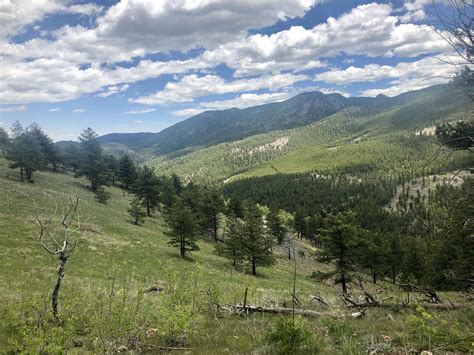 Mountain Lion Trail Golden | Colorado hiking, Natural landmarks, Trail