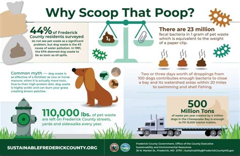 How Dangerous Is Dog Poop