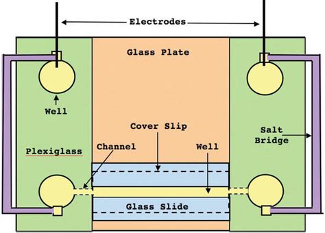 The Application of Electric Fields in Biology and Medicine | IntechOpen