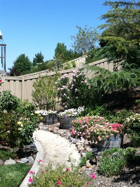 GARDENING & Outdoor Tips | Outdoor gardens, Wine barrel garden, Outdoor