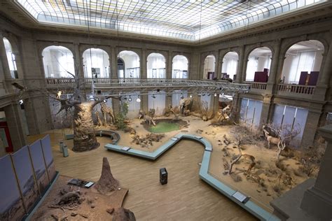 Museum Koenig | Bonn, Germany Attractions - Lonely Planet