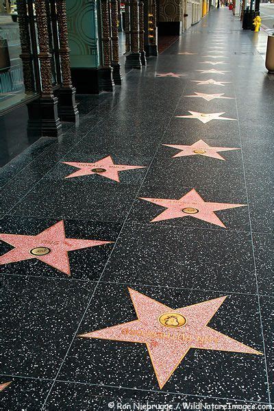 Hollywood Walk of | Walk of fame, Hollywood walk of fame, California travel road trips