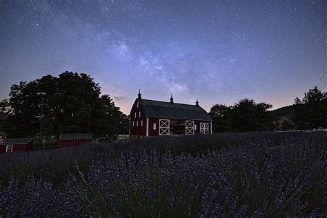 Lavender Nights Photograph by Robert Fawcett - Fine Art America