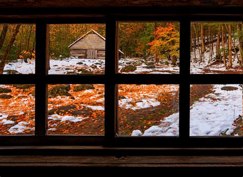 nature, Forest, Window, Fall, Snow, Winter Wallpaper | Окно, Осень