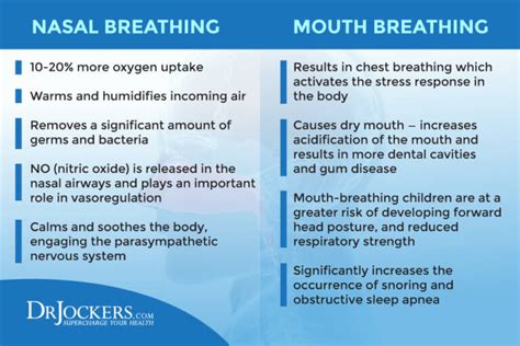 Nasal Breathing: Benefits and How to Do It Properly