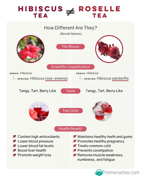 Hibiscus Tea VS Roselle Tea (infographic) Infographic | Roselle tea ...