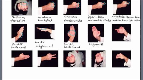 Karate Terminology: Hand Positions - YouTube