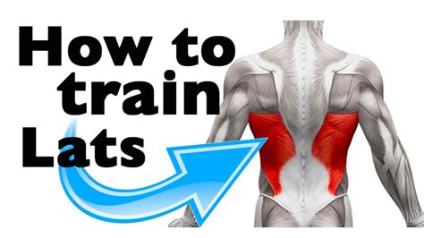 How to: Train the Latissimus Dorsi (11 gym exercises) - YouTube
