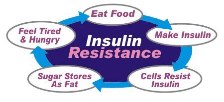 Insulin resistance causes type 2 diabetes | Learn,Prevent and How to ...