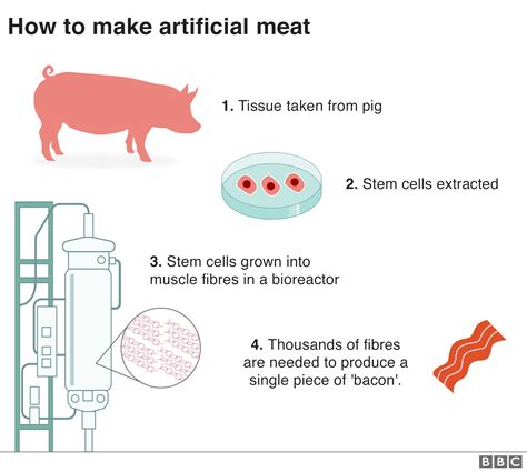 Farming News - Artificial meat: UK scientists growing 'bacon' in labs