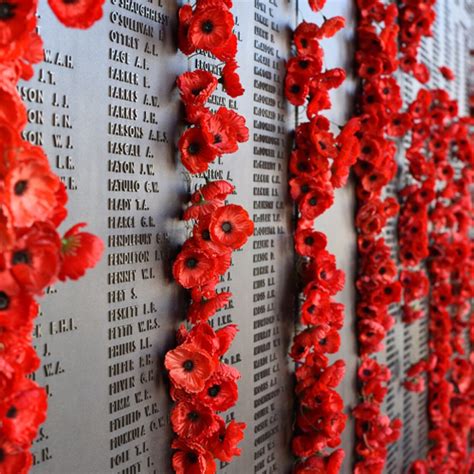 poppy wall - The PumpHouse Theatre