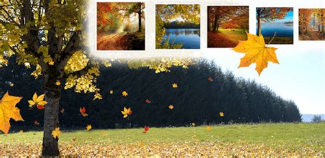 Falling Leaves Live Wallpaper for PC - How to Install on Windows PC, Mac