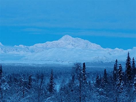 Denali State Park - Go Wandering