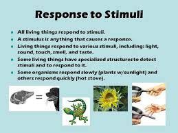 Response to Stimuli: Living things (even one-celled organisms) react to changes within their s ...