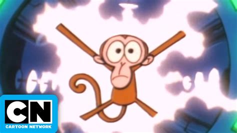 Dial M for Monkey | Theme Song | Cartoon Network - YouTube