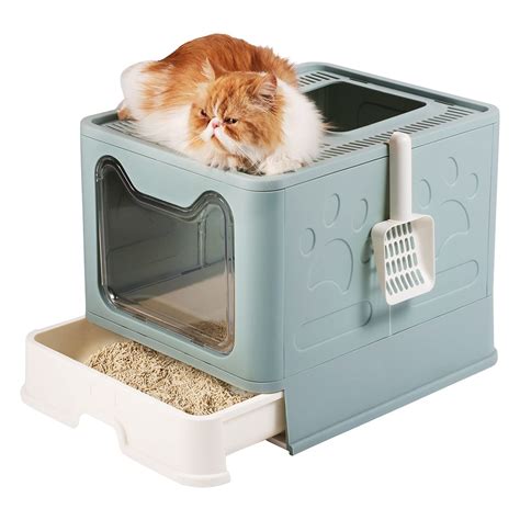 Cat Litter Boxes Best at Rachael Hammond blog