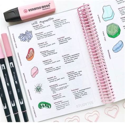 Aesthetically beautiful | Science notes, Study notes, Biology notes