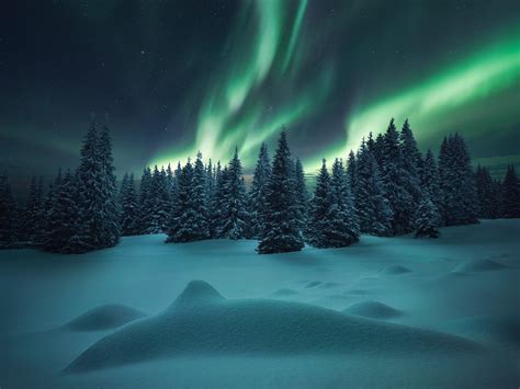 Aurora Borealis 4k Wallpaper Northern Lights Night Mo - vrogue.co