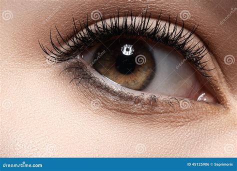 Close-up Eye with Fashion Light Make-up, Long Eyelashes Stock Photo ...