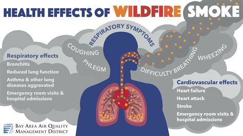 Health Impacts of Wildfire Smoke | In the San Francisco Bay Area ...