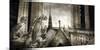'Gargouilles de Notre Dame, Paris' Prints - Stephane Rey-Gorrez | AllPosters.com