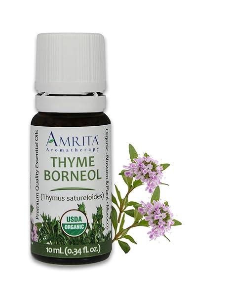 Amazon.com : Amrita Aromatherapy Organic Thyme, Borneol Essential Oil, 100% Pure Undiluted ...