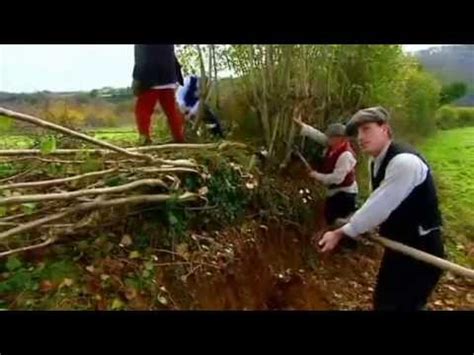 Pleaching Hedgerow with Billhooks, Edwardian Farm - YouTube