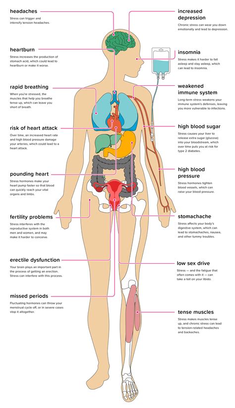 Can Stress Hurt My Health? - Kratom Pick